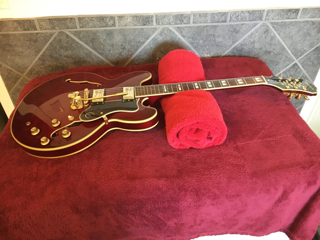 The guitar with the Les Trem installed
